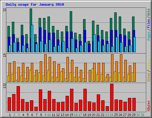 Daily usage for January 2010