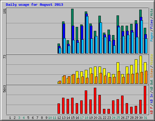 Daily usage for August 2013