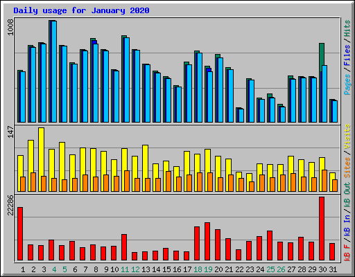 Daily usage for January 2020