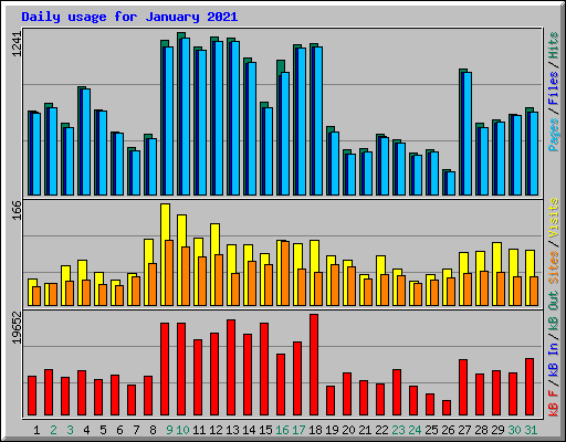 Daily usage for January 2021