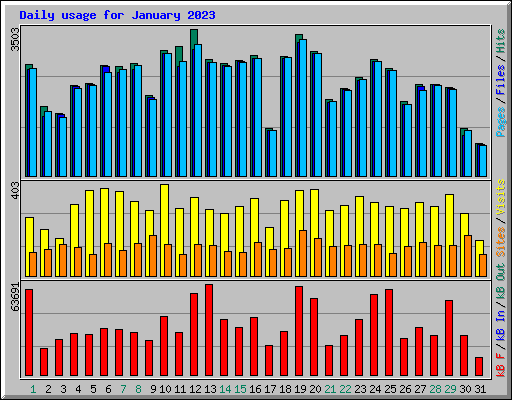 Daily usage for January 2023