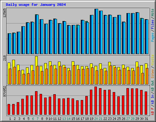 Daily usage for January 2024