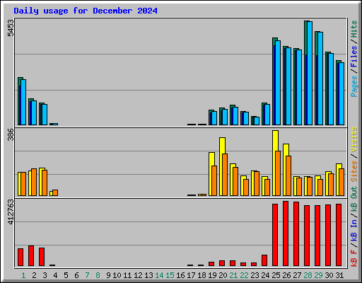 Daily usage for December 2024