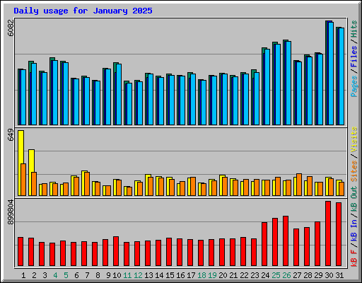 Daily usage for January 2025