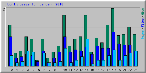 Hourly usage for January 2010