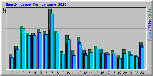 Hourly usage for January 2016