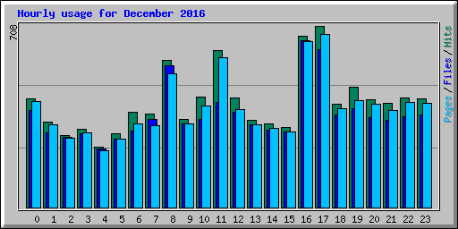 Hourly usage for December 2016