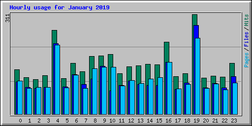 Hourly usage for January 2019
