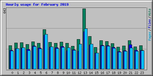 Hourly usage for February 2019