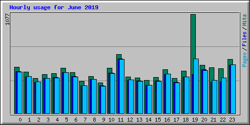 Hourly usage for June 2019