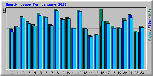 Hourly usage for January 2020