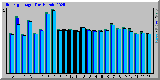 Hourly usage for March 2020