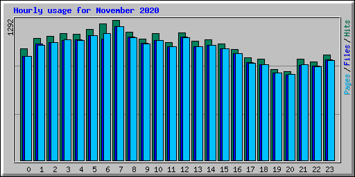 Hourly usage for November 2020