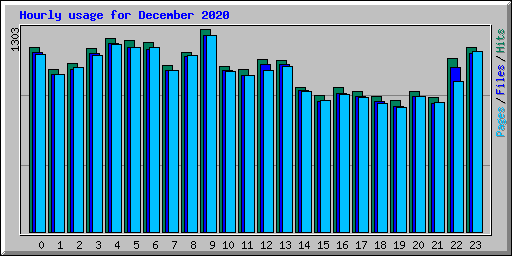 Hourly usage for December 2020