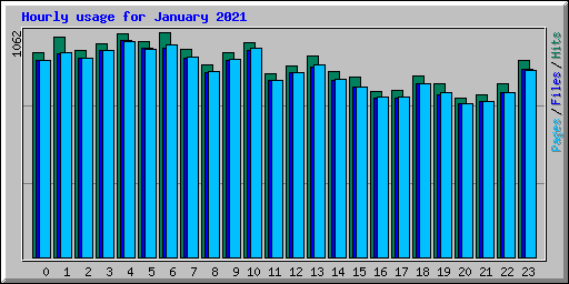 Hourly usage for January 2021