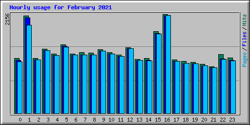 Hourly usage for February 2021