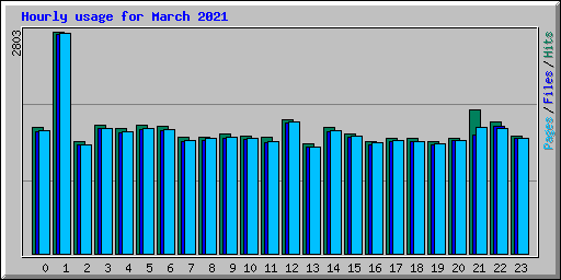 Hourly usage for March 2021