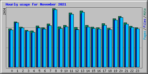 Hourly usage for November 2021