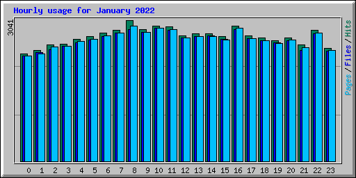 Hourly usage for January 2022