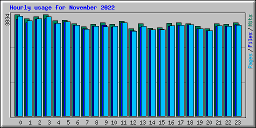 Hourly usage for November 2022