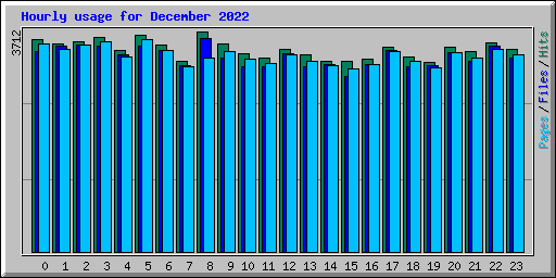 Hourly usage for December 2022