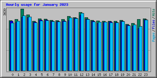 Hourly usage for January 2023