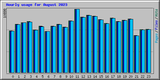 Hourly usage for August 2023