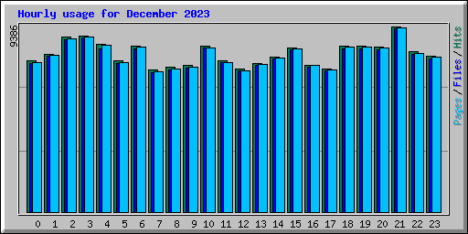 Hourly usage for December 2023