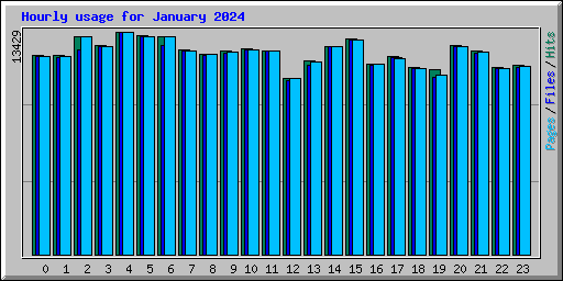 Hourly usage for January 2024