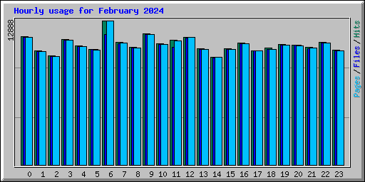 Hourly usage for February 2024