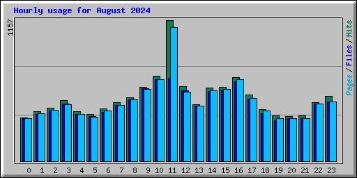 Hourly usage for August 2024