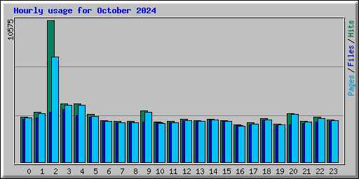 Hourly usage for October 2024