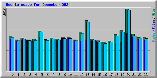 Hourly usage for December 2024