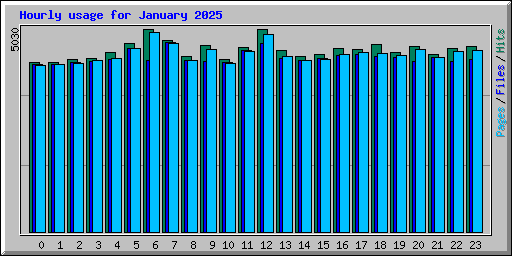 Hourly usage for January 2025