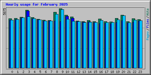 Hourly usage for February 2025