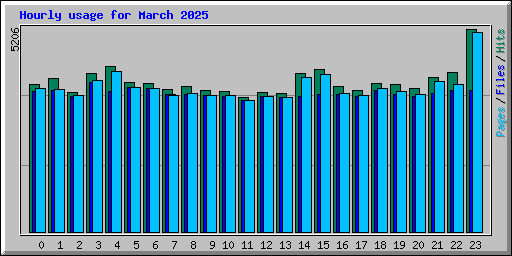 Hourly usage for March 2025
