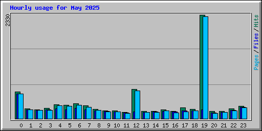 Hourly usage for May 2025