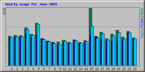 Hourly usage for June 2025