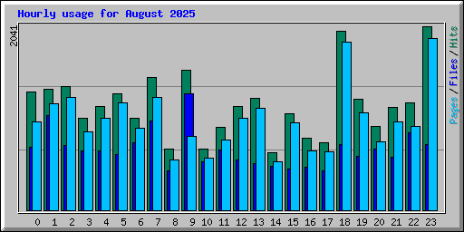 Hourly usage for August 2025