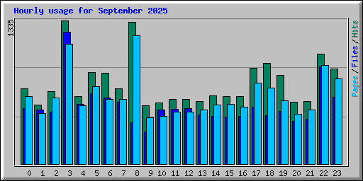 Hourly usage for September 2025