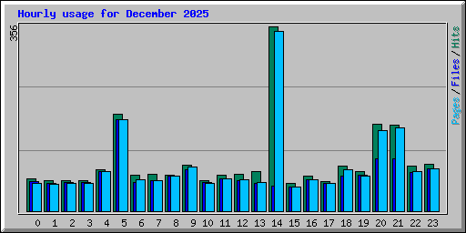 Hourly usage for December 2025