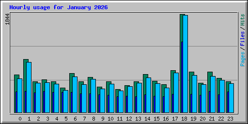 Hourly usage for January 2026